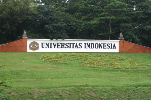 universitas indonesia